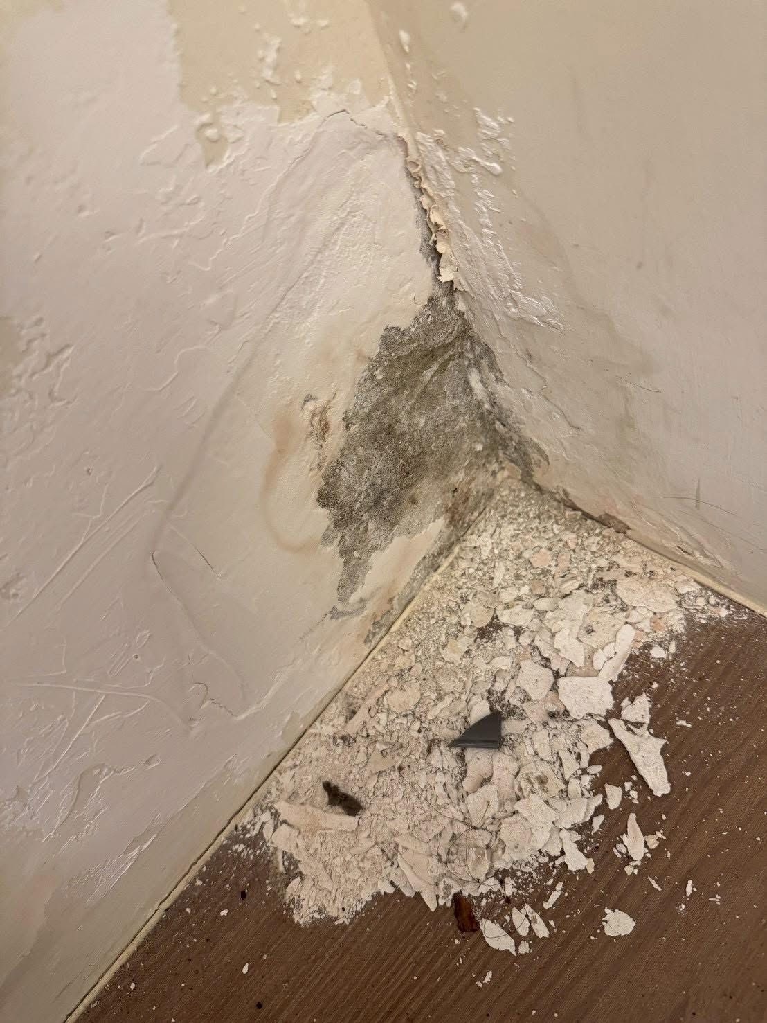 老屋翻新08